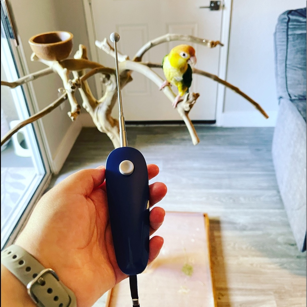 Professional Pet Training Clicker Stick (dogs, cats, birds and other) 2 in 1